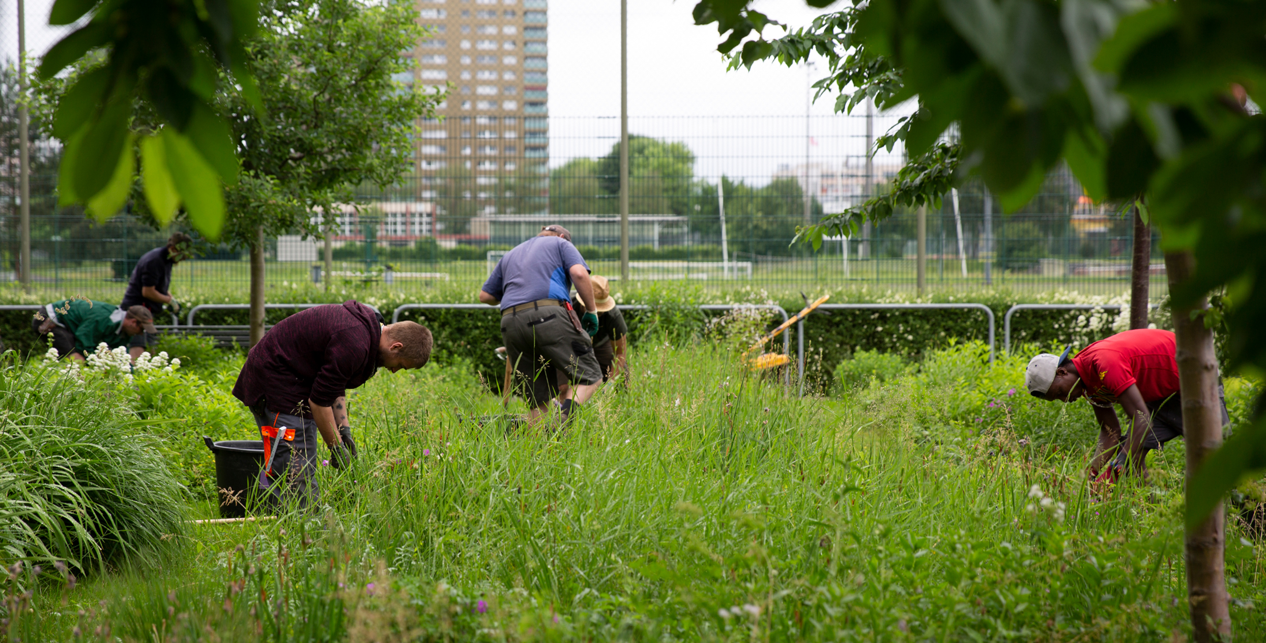 Ein Garten mit hohem Gras, in dem mehrere Personen arbeiten