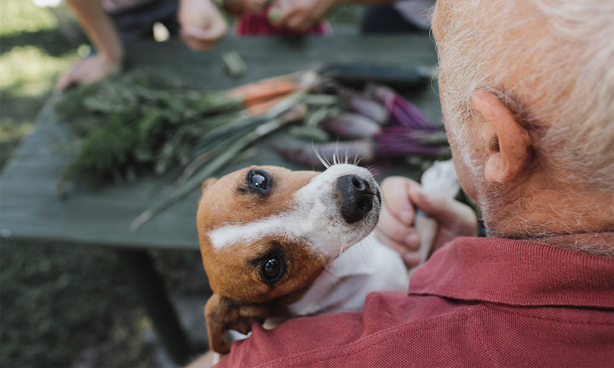 Senior trägt einen Hund auf seiner Brust