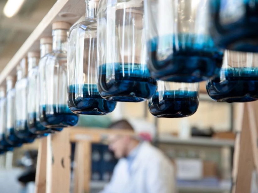 die_krux_mit_dem-perfekten_flaschendesign