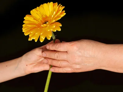 gelbe Gerbera_Tag der aelteren Menschen_01102022