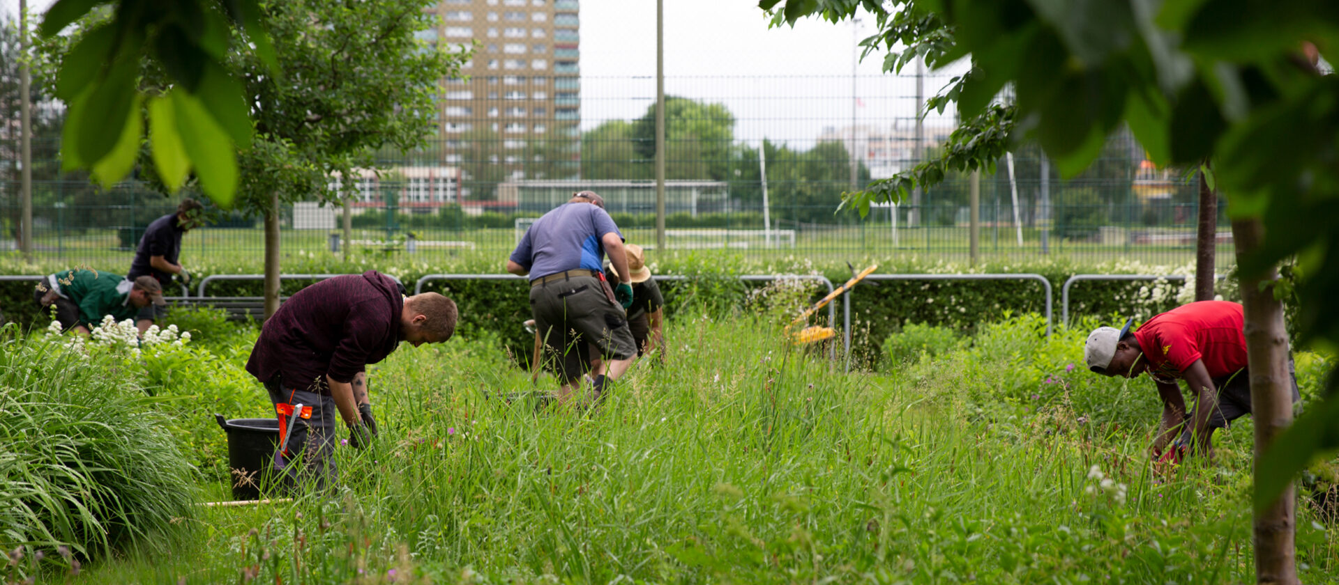 Ein Garten mit hohem Gras, in dem mehrere Personen arbeiten