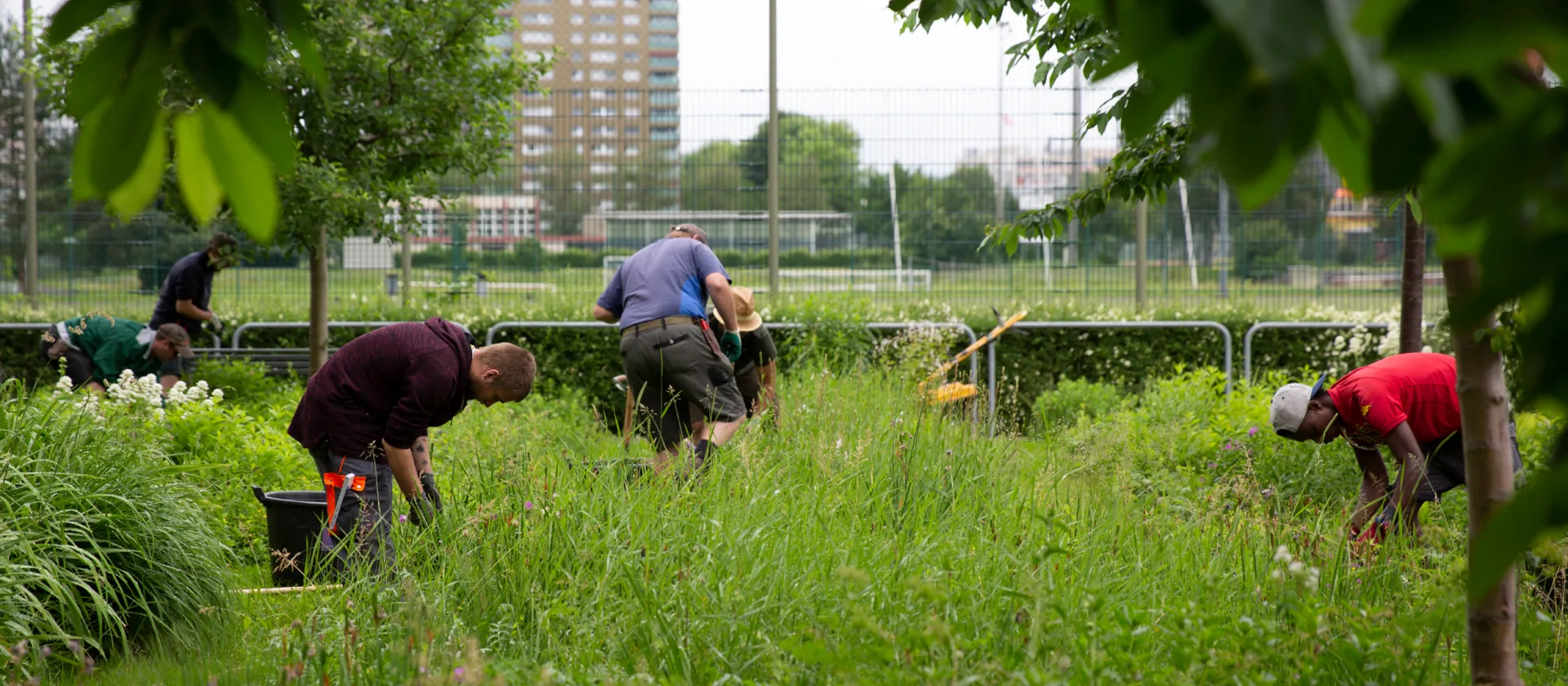 Ein Garten mit hohem Gras, in dem mehrere Personen arbeiten